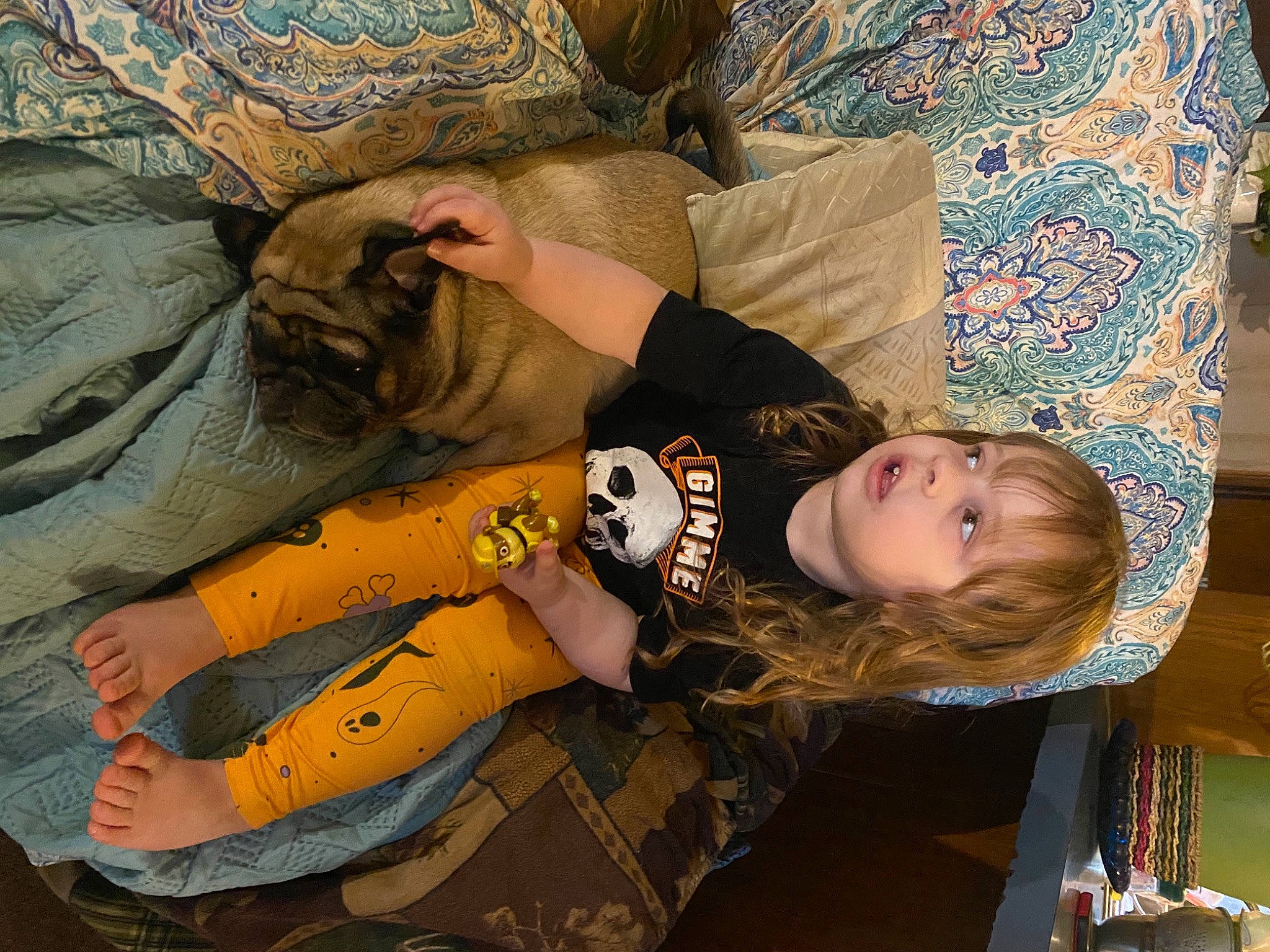 Jesslynn joined the competition — help win amazing prizes! bedding, child, comfort, couch, flooring, fun, fur, head, human_leg, linens, pattern, person, room, sleeve, t_shirt, textile, thigh, toddler, tree, visual_arts