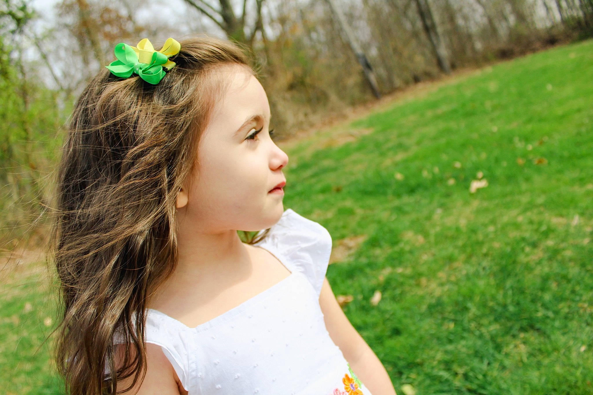 Elaina is registered to the contest to win money with this photo: black_hair, dress, eye, flash_photography, grass, green, happy, head, headpiece, iris, lip, long_hair, meadow, people_in_nature, person, plant, shoulder, summer, sunlight, tree