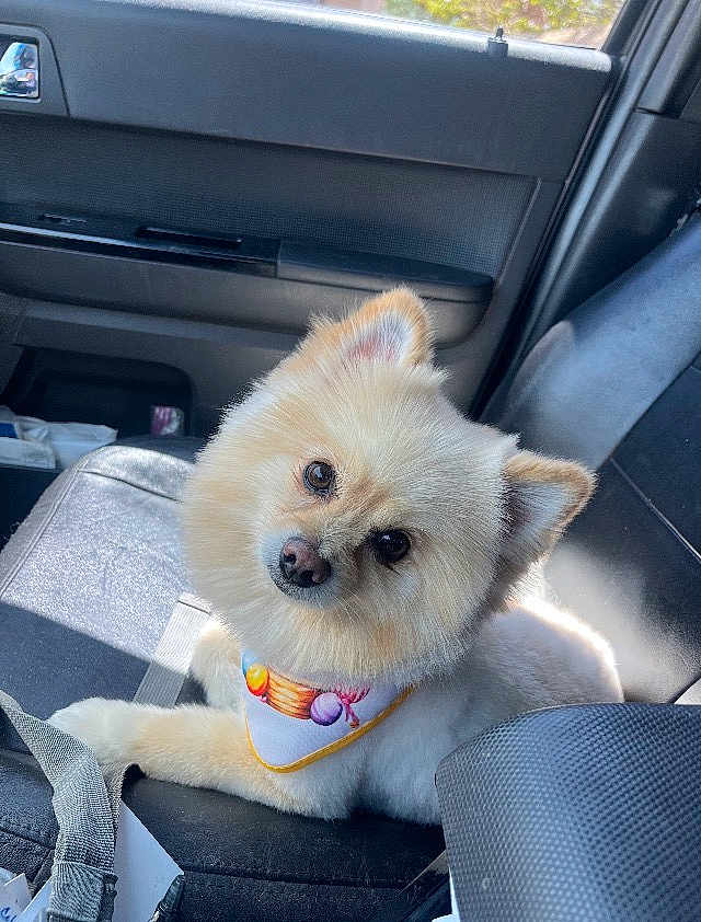 Cash
