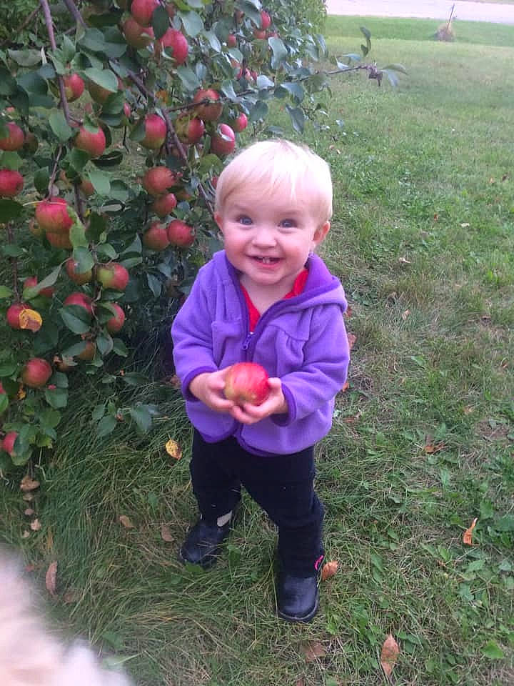 Kodi joined the competition — help win amazing prizes! apple, child, flower, fruit, garden, grass, joy, leaf, malus, people, person, plant, rose_family, shrub, smile, toddler, tree
