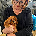 Marie-josé Joly