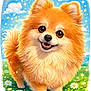 Newton is registered to the contest to win money with this photo: dog, pomeranian, portrait, illustration, cute, fluffy, smile, big_eyes, fur, tail, meadow, daisies, grass, rainbow, clouds, stars, sparkles, whimsical, colorful, fantasy