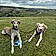 Enzo And Sadie