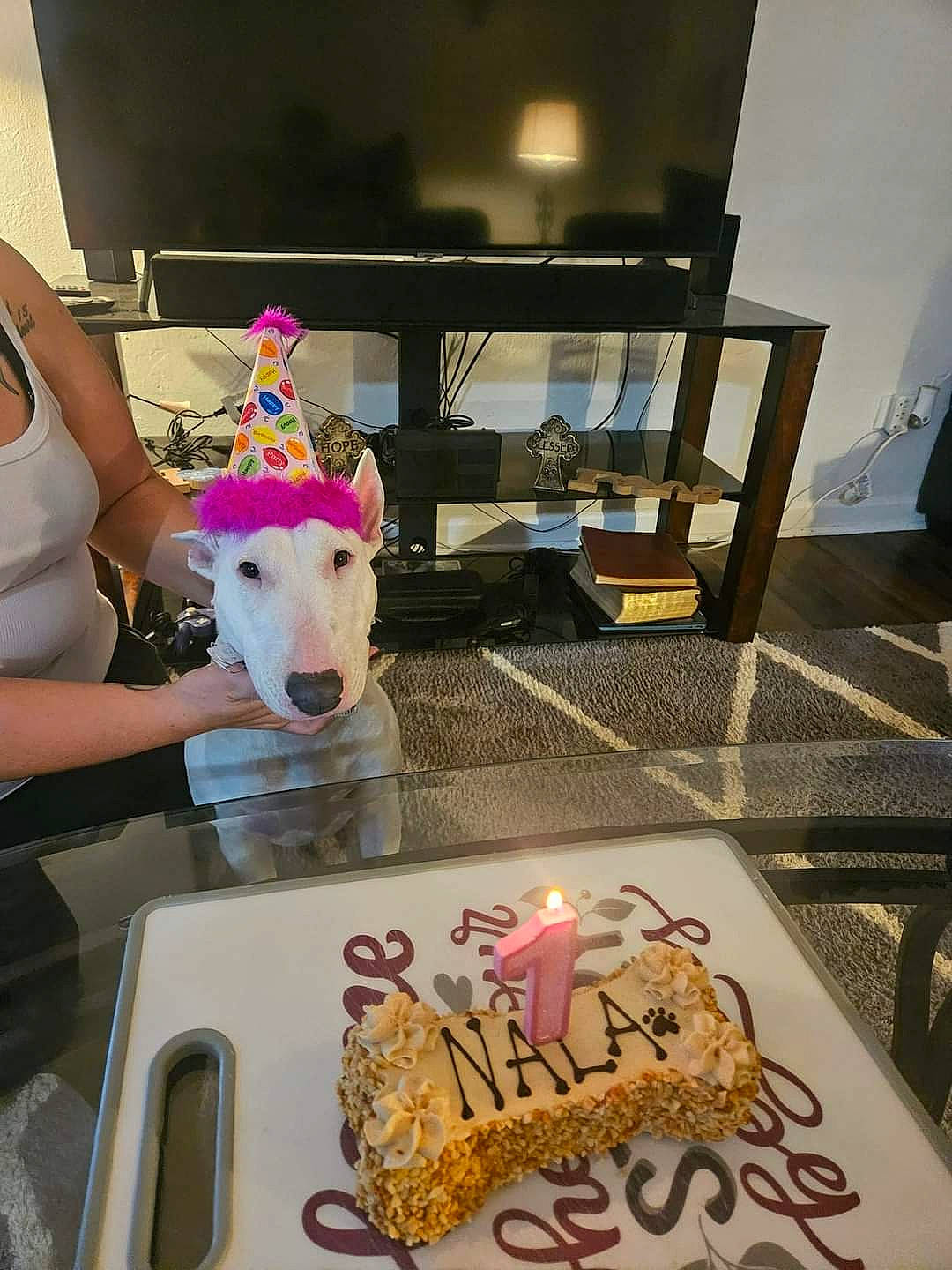 Nala joined the competition — help win amazing prizes! baking, cake, cake_decorating, candle, comfort_food, companion_dog, dessert, dog_breed, flooring, ingredient, kitchen, kitchen_appliance, party_supply, plate, room, sweetness, table, tableware, toy