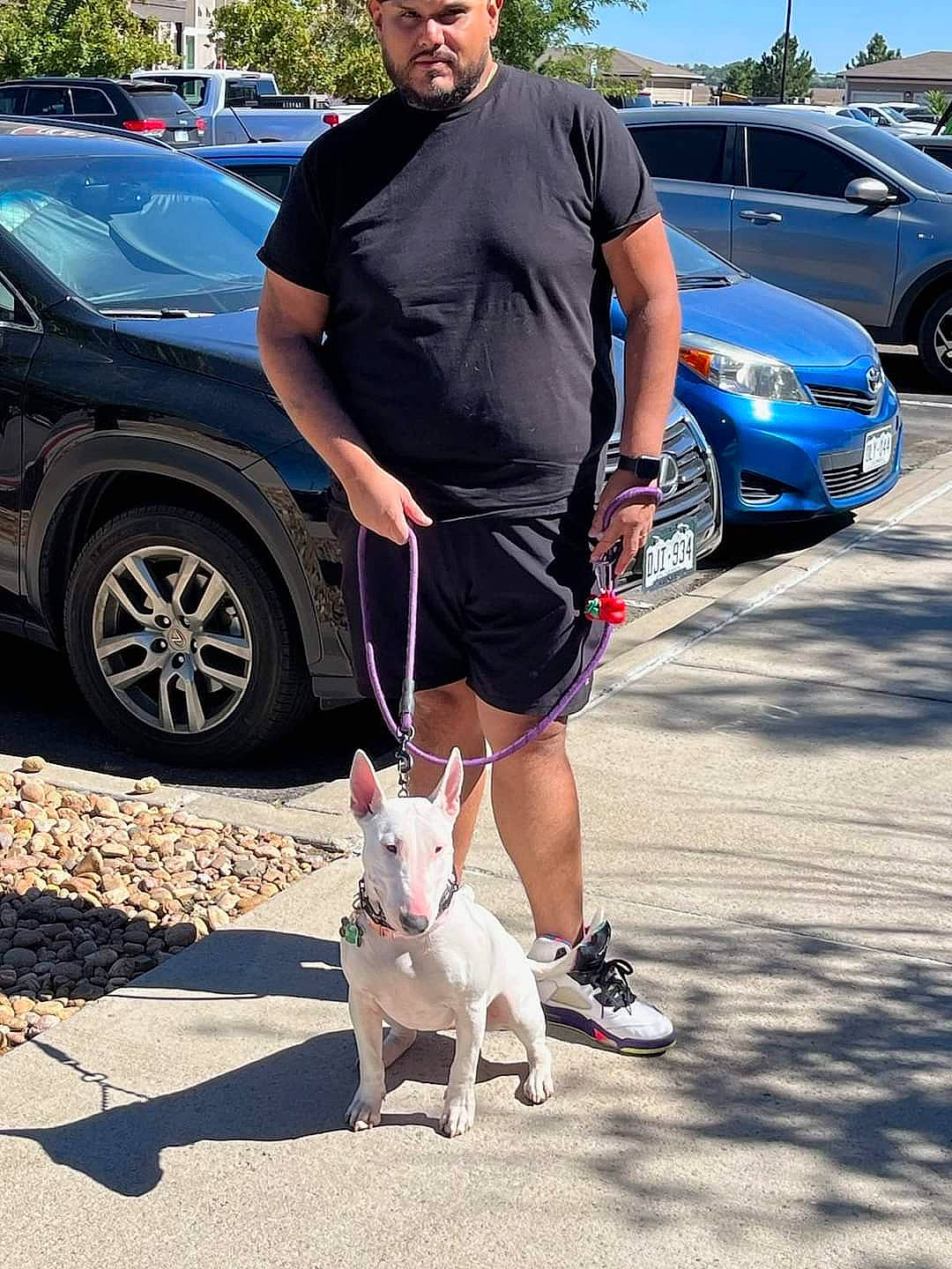 Nala joined the competition — help win amazing prizes! automotive_design, automotive_exterior, automotive_tire, car, carnivore, companion_dog, dog, dog_breed, fawn, hood, land_vehicle, photograph, shorts, thigh, tire, vehicle, vehicle_door, waist, wheel, white