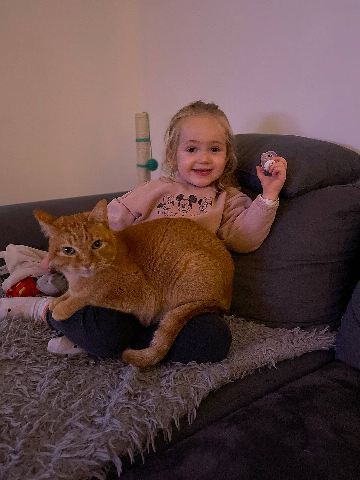 Giulia a rejoint le concours — aidez-le/la à gagner de superbes lots ! blond, carnivore, cat, comfort, companion_dog, fawn, felidae, floor, flooring, happy, human_body, human_leg, joy, lap, leg, person, sitting, small_to_medium_sized_cats, smile, tail