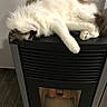 cat, fluffy, white_fur, gray_fur, long_hair, sleeping, lying_down, upside_down, relaxed, paw, whiskers, pet, indoor, heater, fireplace, black_appliance, tile_floor, home, cozy, funny