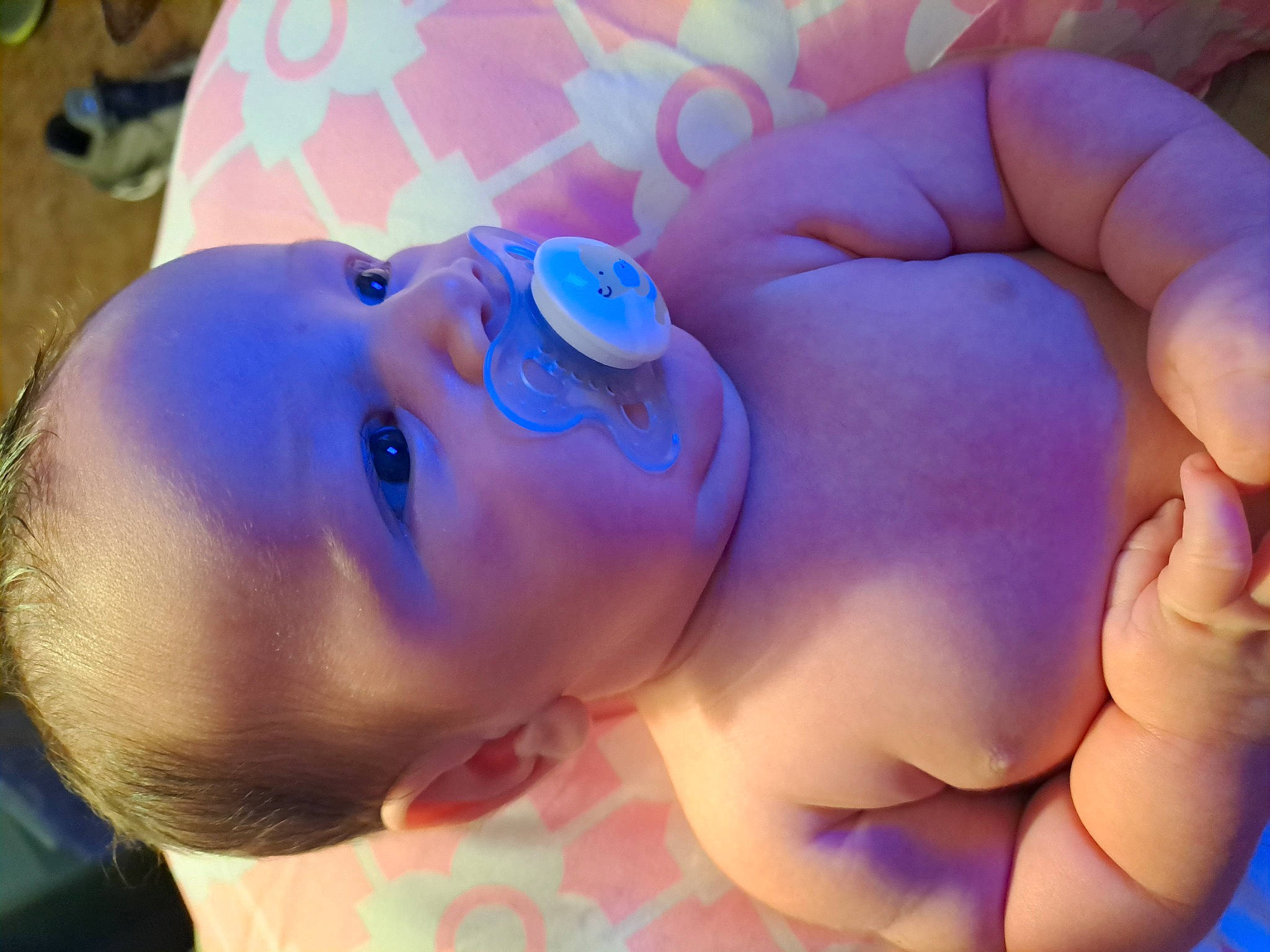 Jax joined the competition — help win amazing prizes! azure, baby, cheek, eye, facial_expression, finger, gesture, happy, head, human, iris, lip, mouth, muscle, nose, person, pink, purple, skin, smile