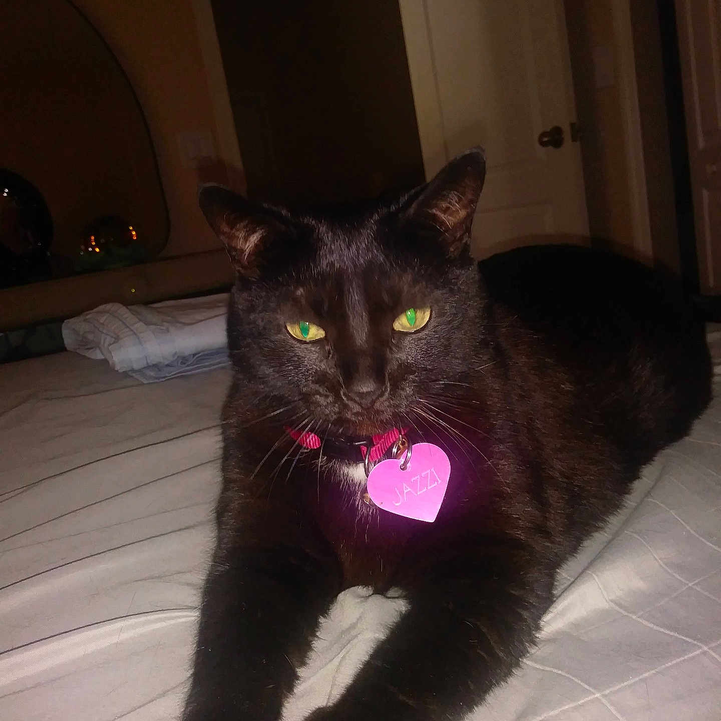 Jazzi