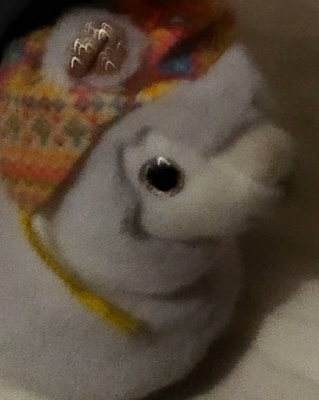 Coco participe au concours pour gagner de l'argent avec cette photo : amphibian, art, carmine, circle, fish, painting, plush, porcelain, snout, stuffed_toy, tail, visual_arts, whiskers