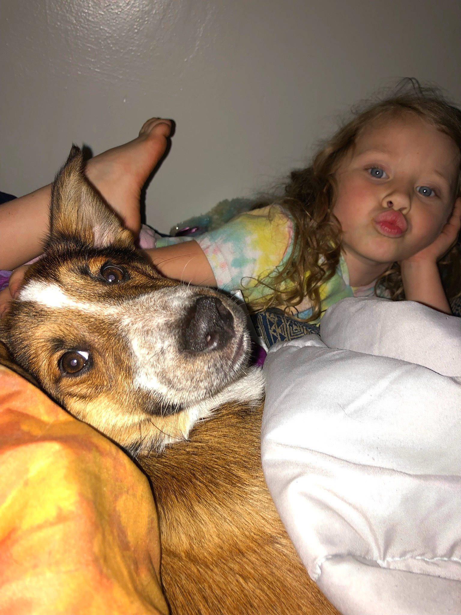 Rosie is registered to the contest to win money with this photo: canidae, carnivore, comfort, companion_dog, couch, dog, dog_breed, ear, eye, fawn, fun, fur, guard_dog, happy, nose, sitting, snout, sporting_group, toddler, whiskers