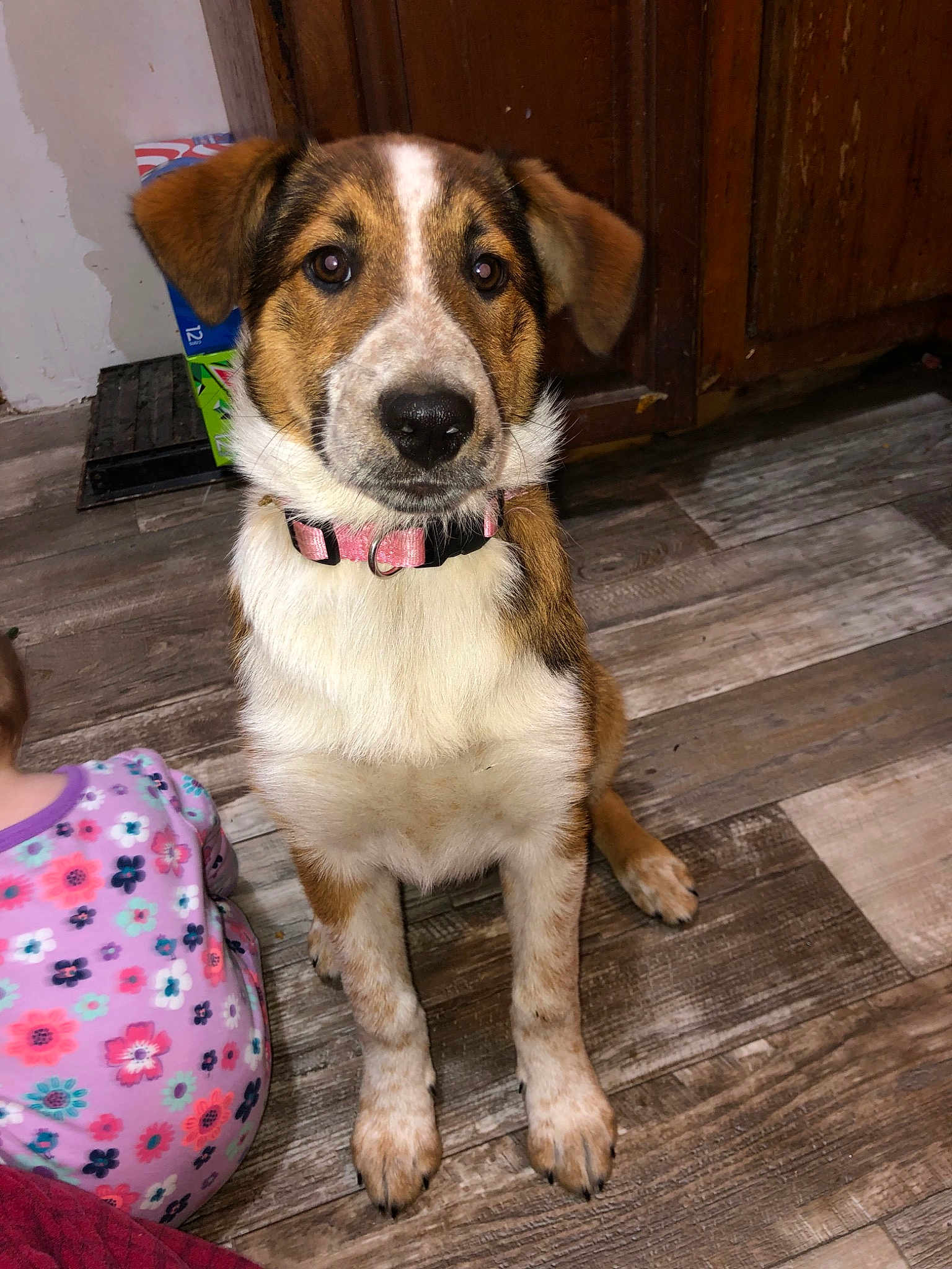 Rosie