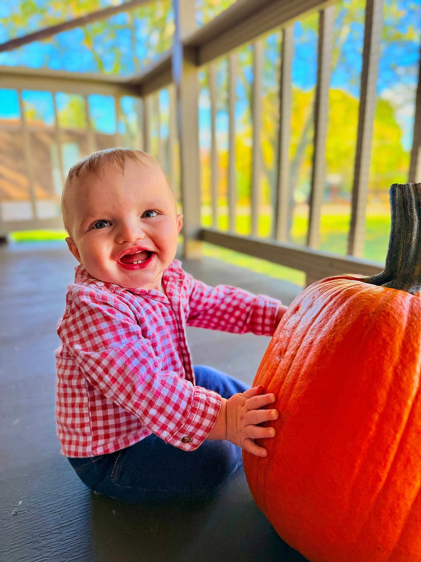 Austin is registered to the contest to win money with this photo: baby, child, pumpkin, porch, smiling, happy, red_checkered_shirt, blue_jeans, outdoor, daylight, face, hands, sitting, wooden_railings, fall, seasonal, cute, cheerful, infant, nature