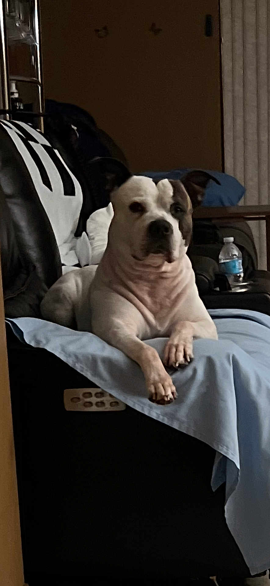 King