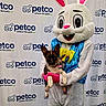 Arrow is registered to the contest to win money with this photo: dog, costume, bunny, person, petco, backdrop, pet, holding, animal, event, mascot, cute, white, pink, blue, yellow, smile, portrait, indoor, fun