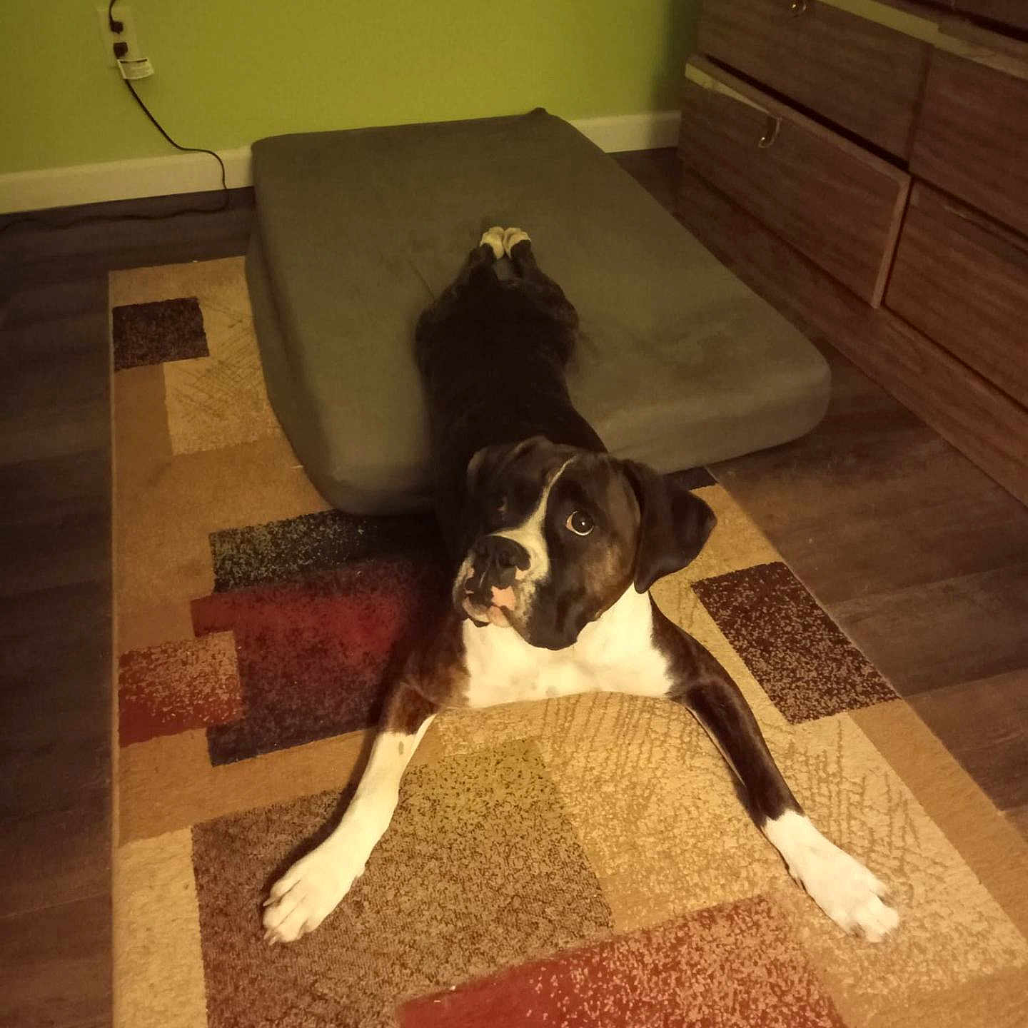 Hemi