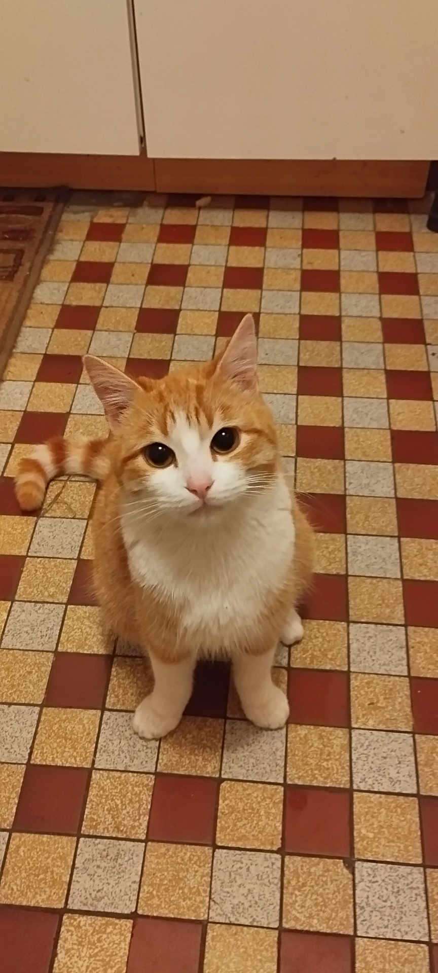 Winnie
