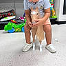 child, toddler, toy_horse, toy_store, floor, white_shoes, shorts, polo_shirt, plastic_toy, green_toy, indoor, playing, curly_hair, looking_down, colorful, sitting, hands, face, feet, casual_clothing