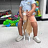Adam joined the competition — help win amazing prizes! child, toy_horse, indoor, floor, plastic_toy, sneakers, shorts, polo_shirt, sitting, play, store, shelf, colorful, person, curly_hair, floor_tile, hand, side_profile, footwear, young_child