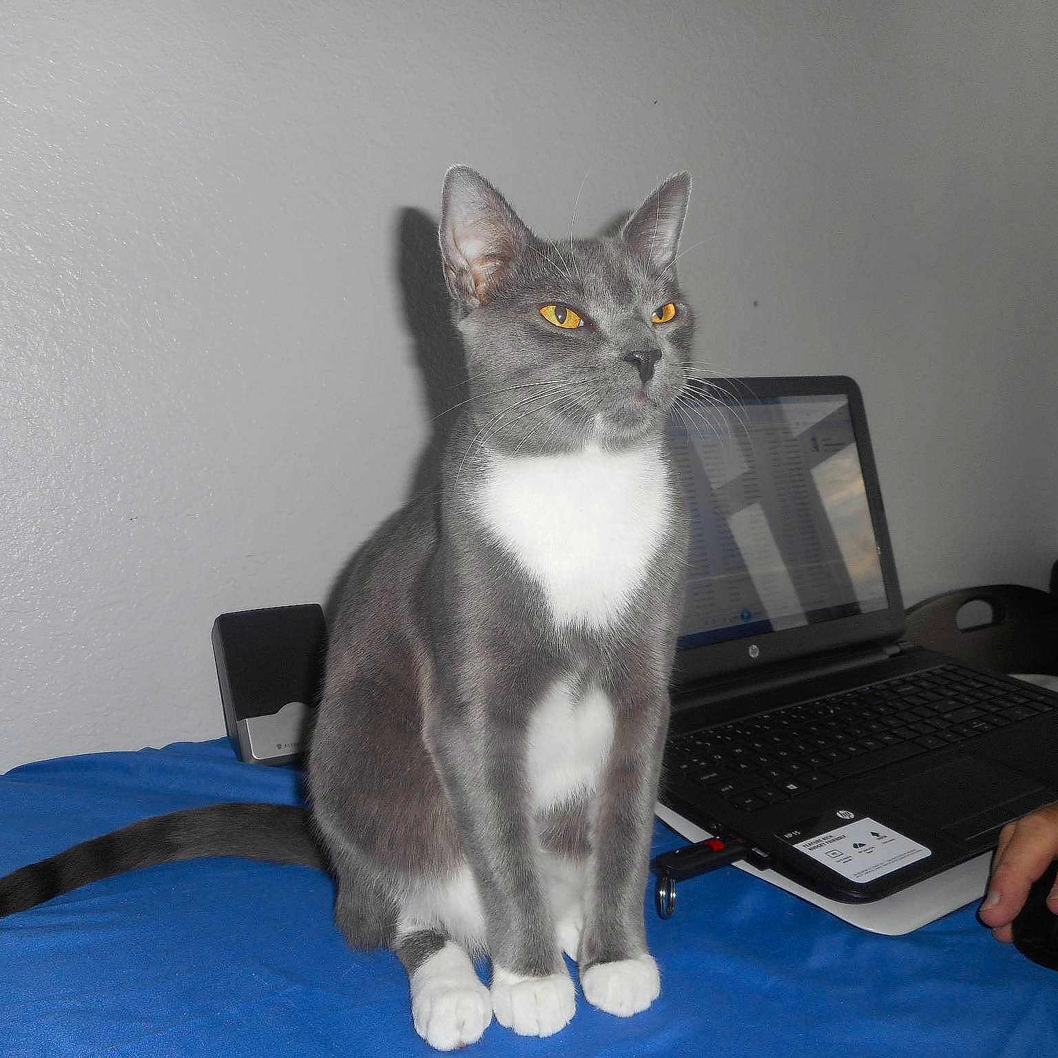 Jimmie is registered to the contest to win money with this photo: