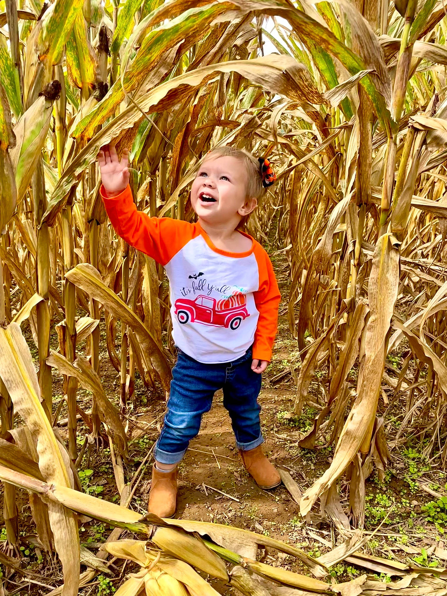 Kimberly is registered to the contest to win money with this photo: adaptation, agriculture, child, field, fun, grass, happy, harvest, hat, people_in_nature, person, plant, plantation, smile, soil, t_shirt, toddler, wood
