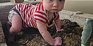 Liam is registered to the contest to win money with this photo: baby, child, crawling, dirt, garden, outdoor, striped_shirt, curious, face, hands, soil, tool, car, cloudy_sky, plant_bed, young_child, expression, barefoot, concrete_border, nature