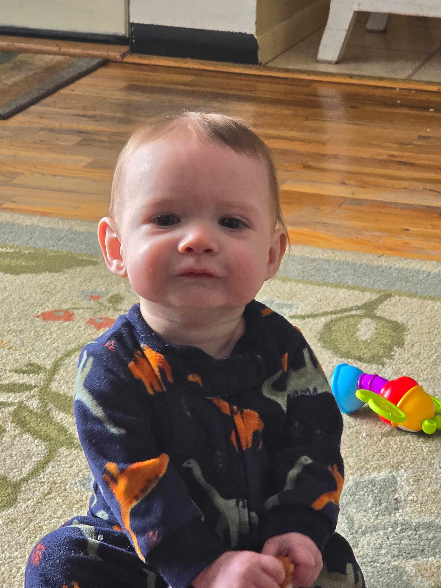 Liam is registered to the contest to win money with this photo: baby, child, dinosaur_onesie, carpet, toy, snack, indoor, wooden_floor, person, cute, sitting, infant, clothing, home, furniture, floor, hand, face, young_child, playtime