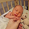 newborn, baby, sleeping, crib, blanket, hand, finger, teddy_bear, knitted_toy, soft, cozy, peaceful, infant, child, cute, indoors, portrait, closeup, skin, resting