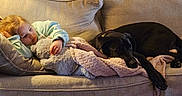 Jax joined the competition — help win amazing prizes! black_dog, blanket, child, companion, couch, cozy, dog, face, furniture, home, indoor, pet, portrait, red_hair, resting, sitting, sleeping, sofa, teddy_bear, toddler