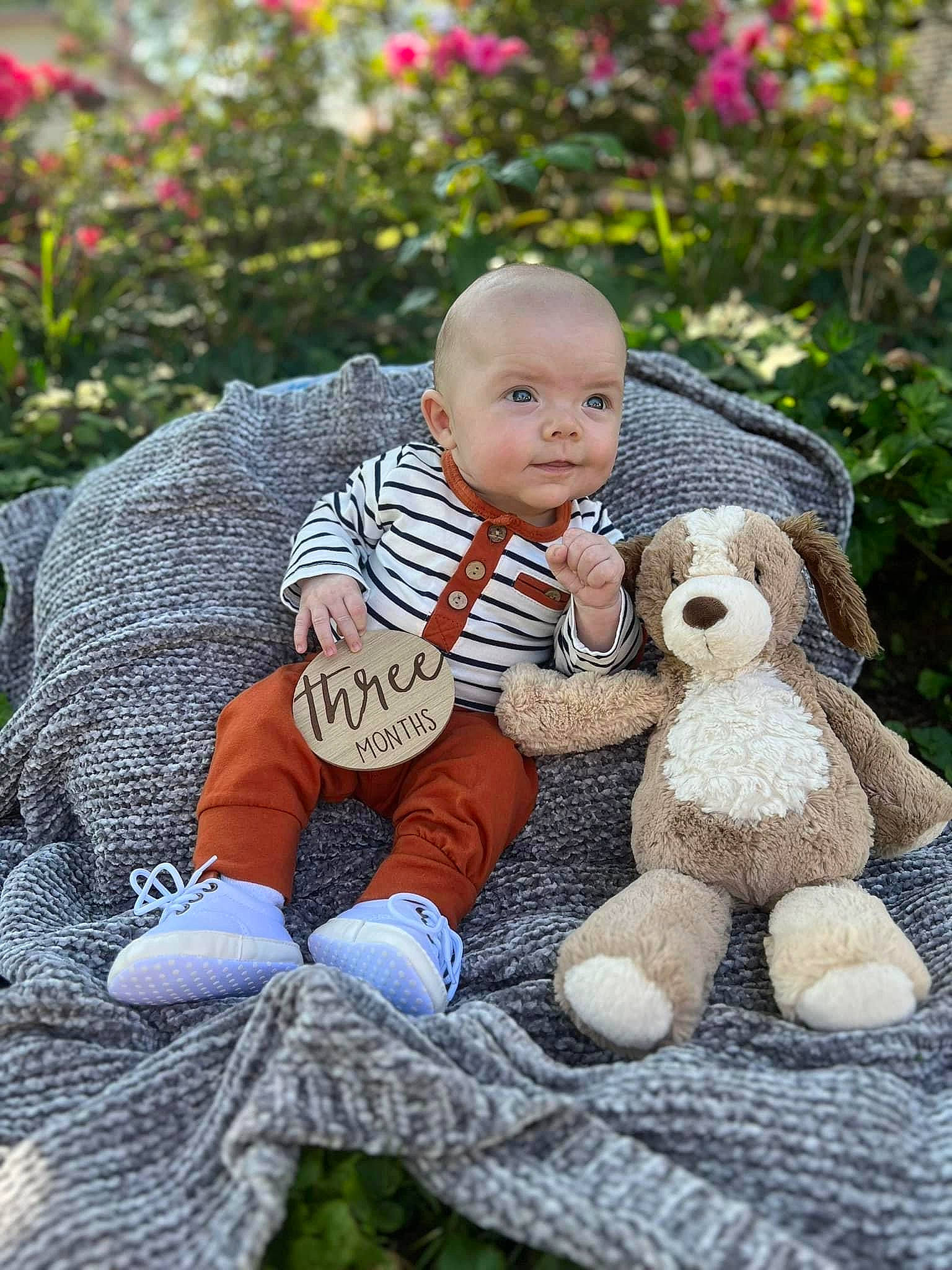 Caleb is registered to the contest to win money with this photo: baby, child, fun, fur, garden, grass, happy, interaction, lawn_ornament, leisure, people_in_nature, person, plant, plush, sitting, skin, stuffed_toy, textile, toddler, toy
