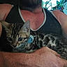 Torque is registered to the contest to win money with this photo: kitten, cat, person, arms, tank_top, indoor, plant, collar, striped_cat, pet, feline, close_up, comfort, home, resting, mammal, animal, domestic_animal, human, casual_clothing