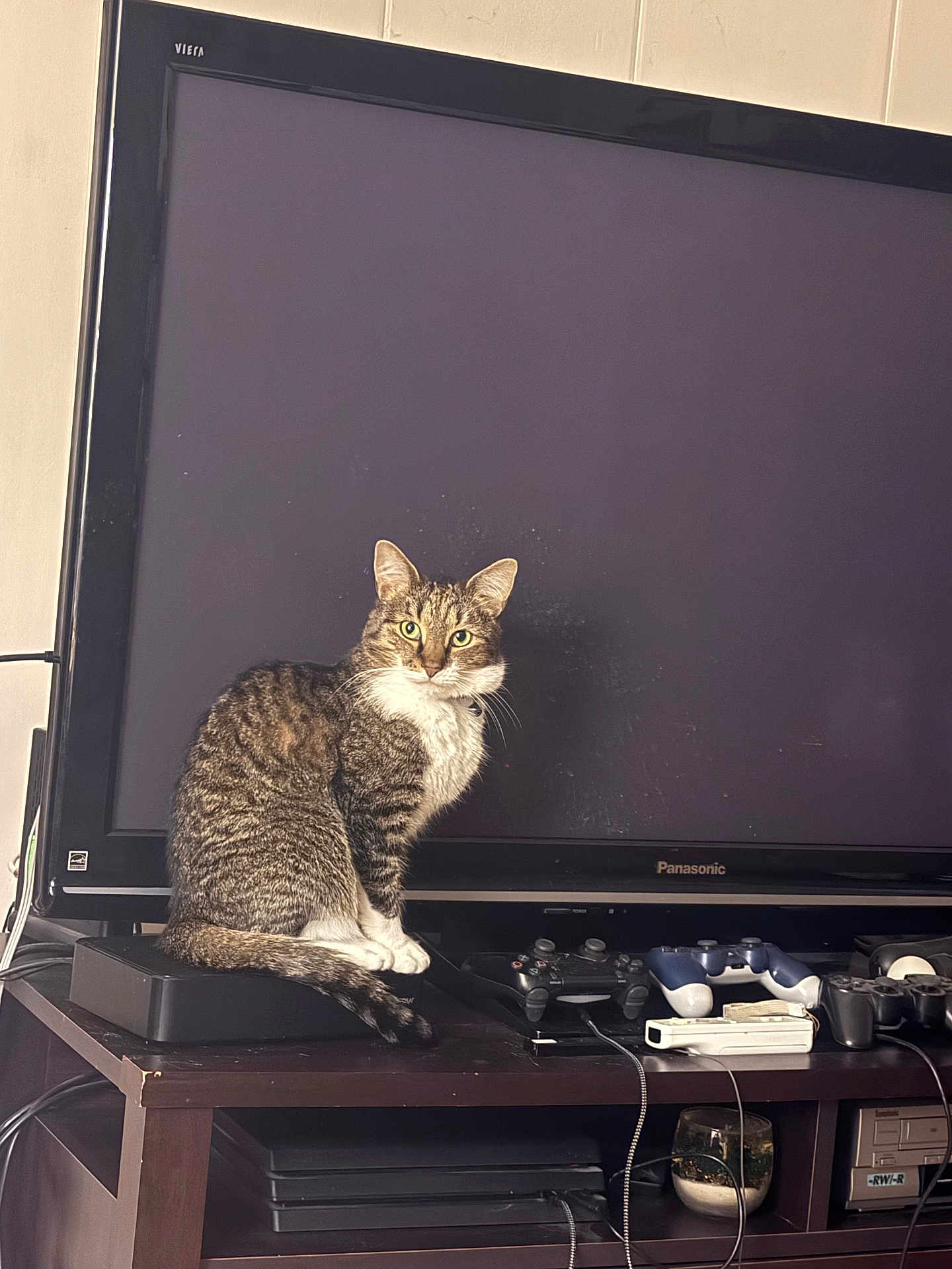 Alister is registered to the contest to win money with this photo: cat, tabby_cat, white_paws, white_chest, television, tv_screen, panasonic, gaming_controllers, video_game_console, entertainment_center, wooden_furniture, cables, electronics, indoor, pet, animal, curious, sitting, household, technology