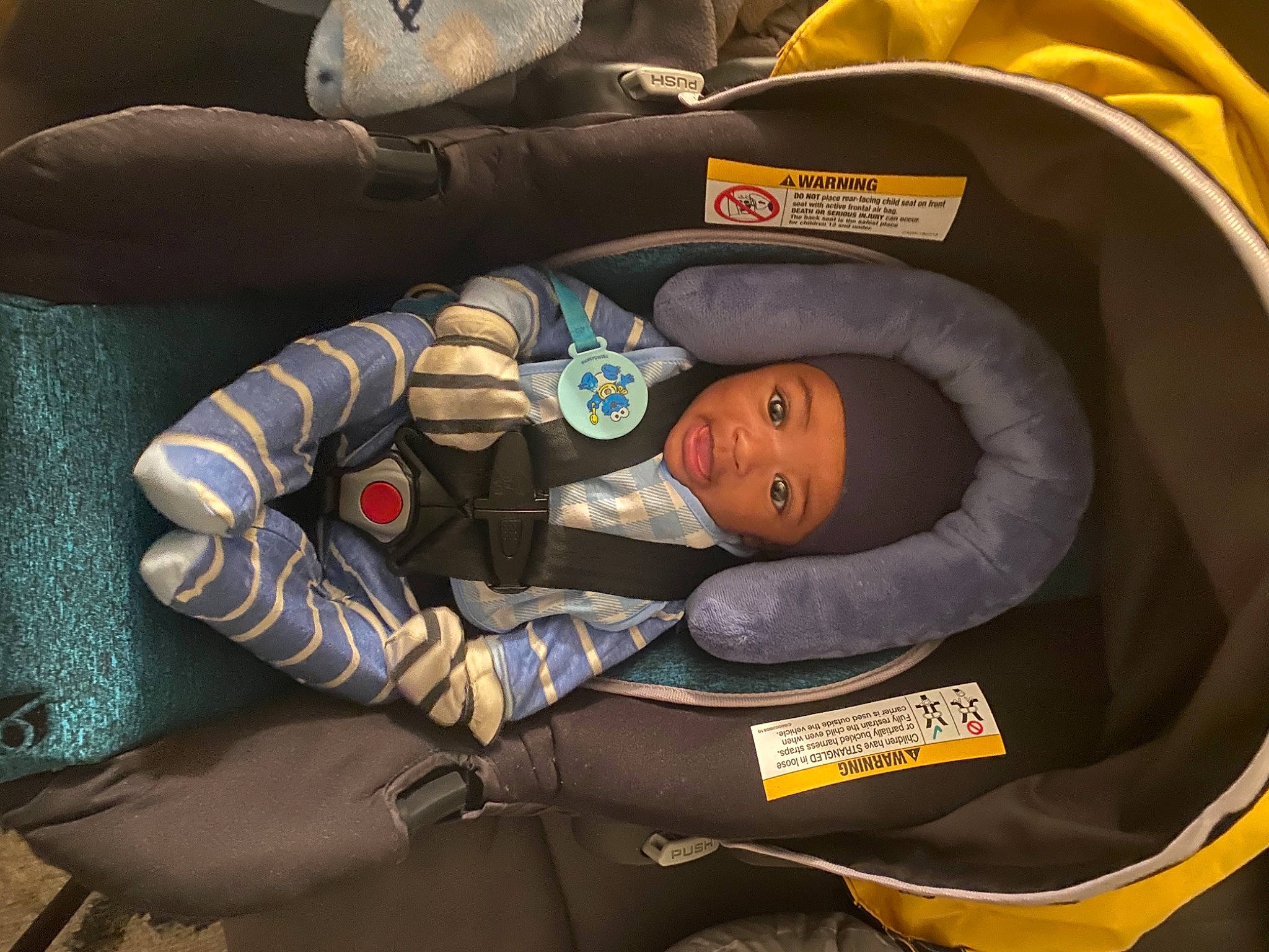 Teon joined the competition — help win amazing prizes! auto_part, baby, baby_carriage, baby_in_car_seat, baby_products, baby_sleeping, baby_toddler_clothing, car_seat, child, comfort, headwear, human_body, infant_bed, lap, motor_vehicle, nap, person, personal_protective_equipment, sitting, sleep