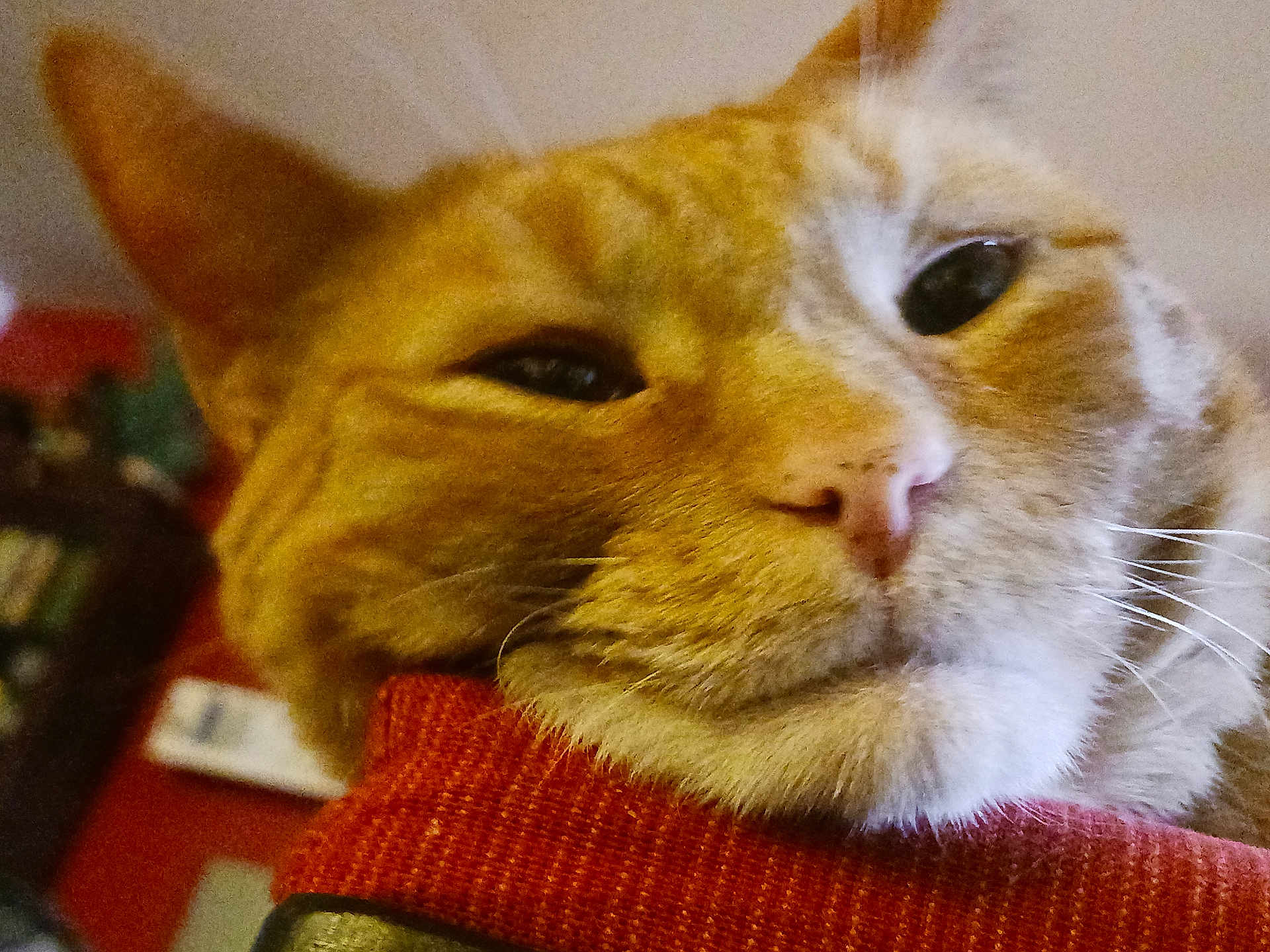 Prince