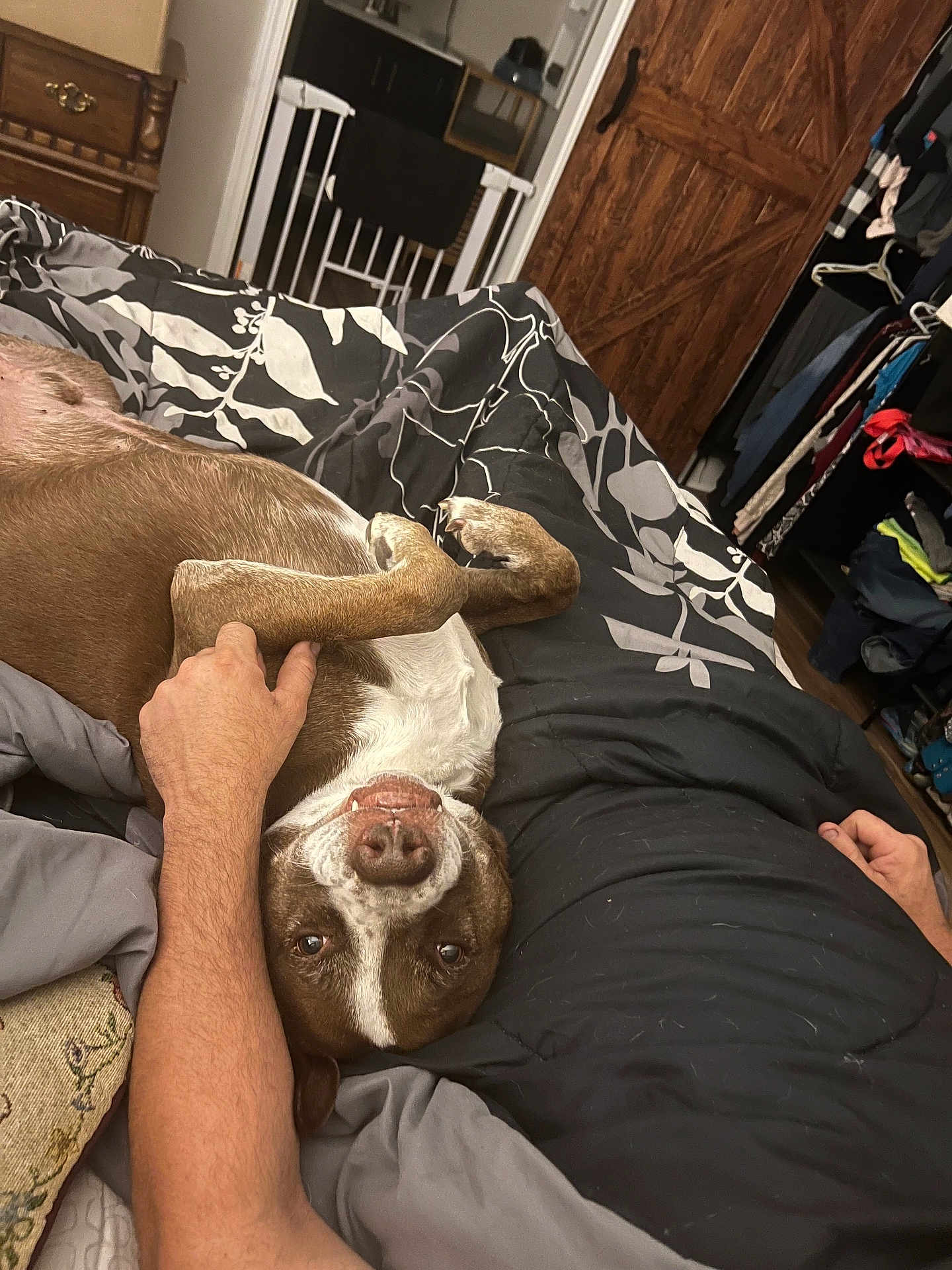 Remi