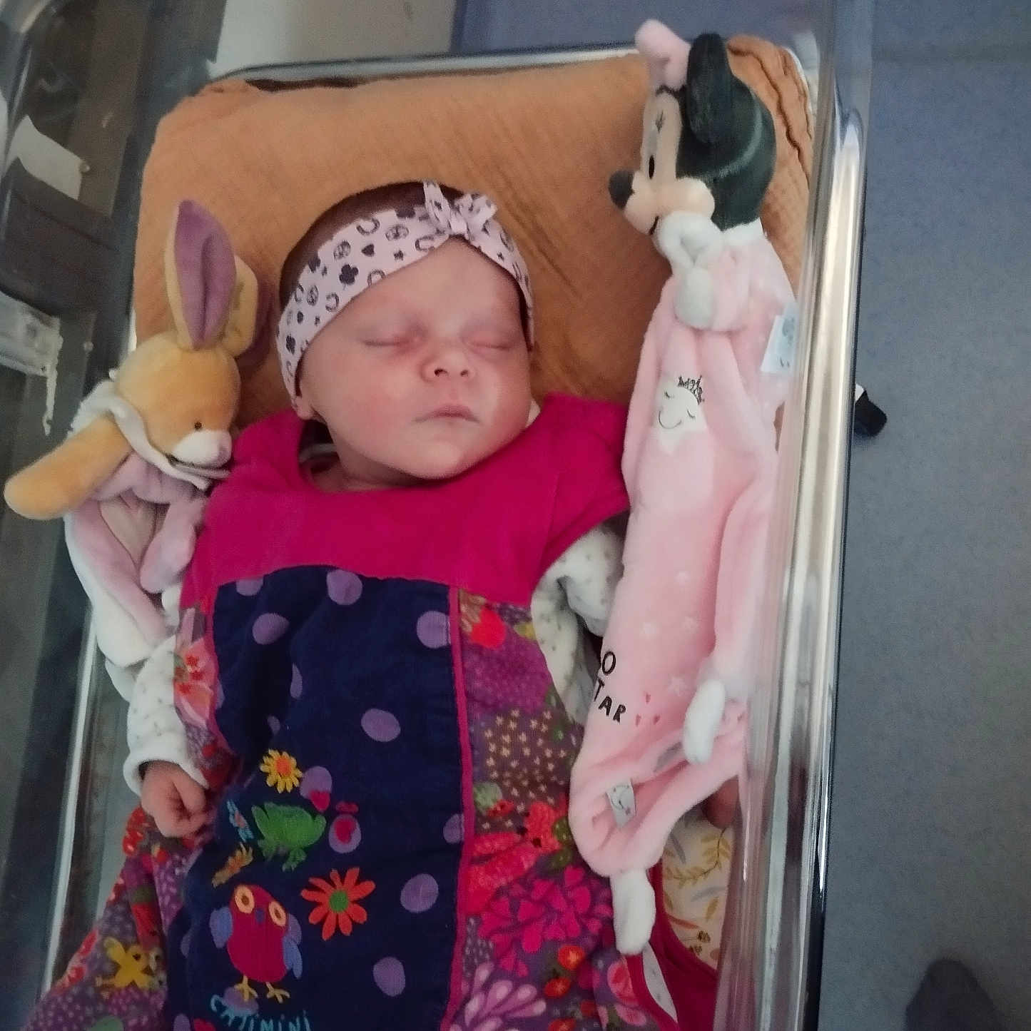 Laïla Deroo a rejoint le concours — aidez-le/la à gagner de superbes lots ! baby, baby_clothes, blanket, bunny_toy, child, colorful, cute, headband, hospital_bassinet, indoor, infant, minnie_mouse, newborn, patterned_clothing, peaceful, person, plush_toy, resting, sleeping, soft_toy