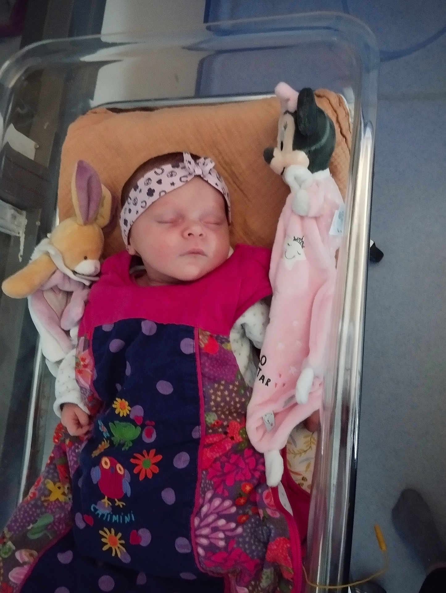 Laïla Deroo a rejoint le concours — aidez-le/la à gagner de superbes lots ! newborn, baby, sleeping, hospital_bassinet, blanket, plush_toy, bunny_toy, minnie_mouse, headband, colorful, patterned_clothing, infant, indoor, soft_toy, child, peaceful, resting, cute, person, baby_clothes