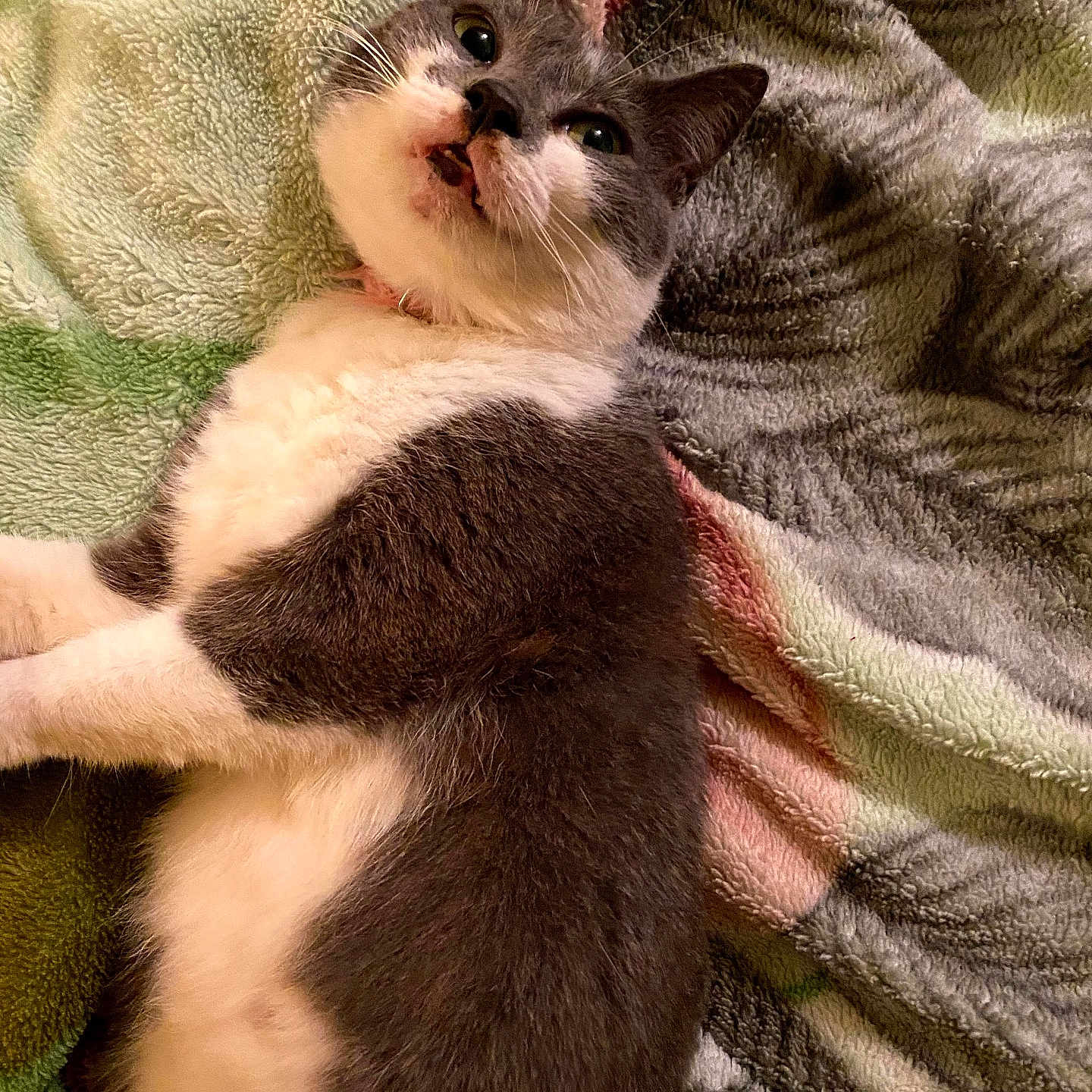 Rita