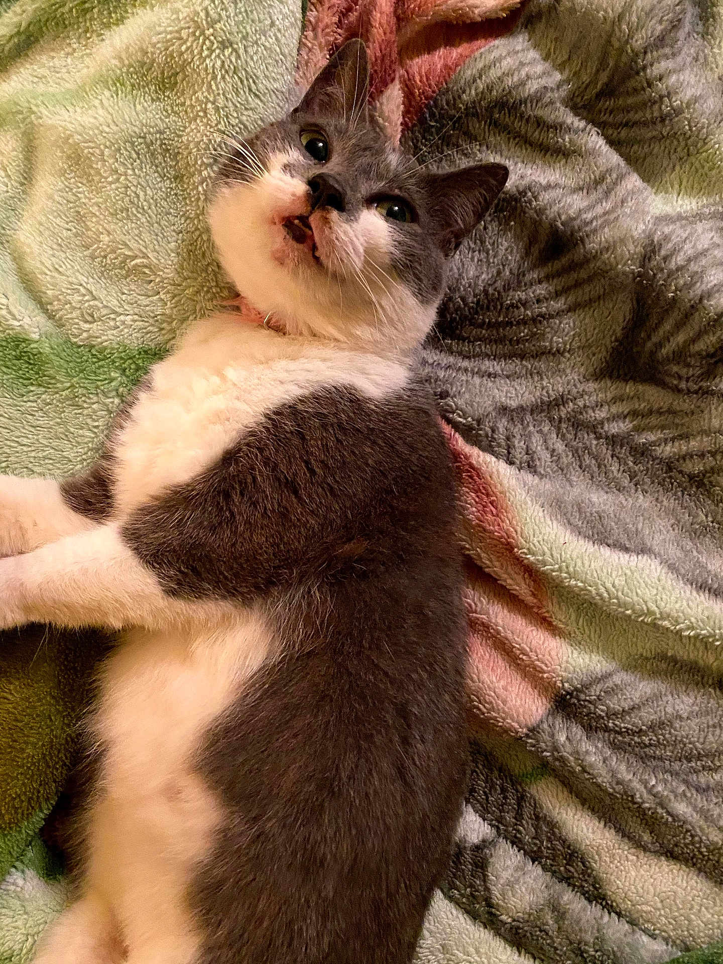 Rita
