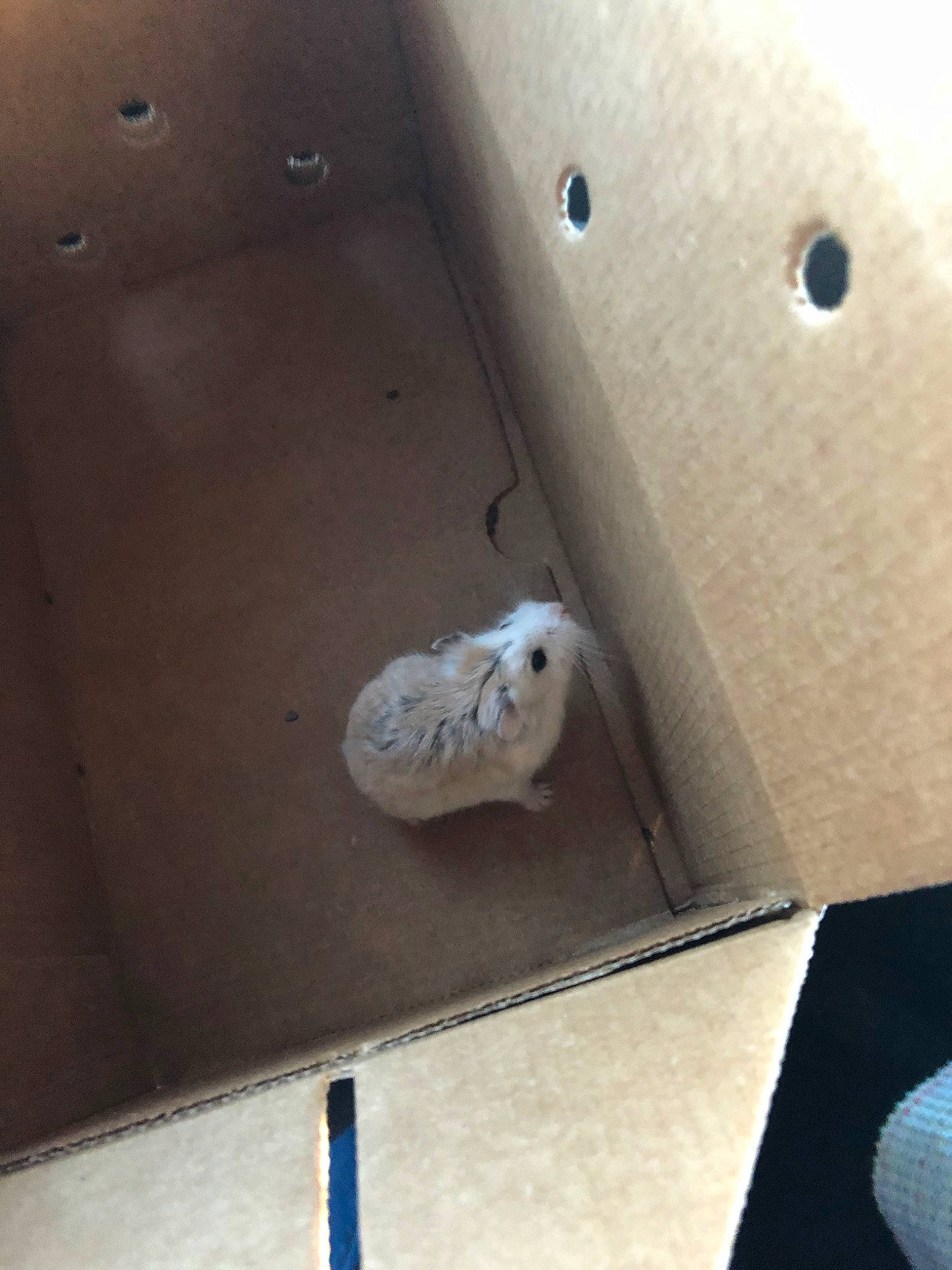 Munchy joined the competition — help win amazing prizes! architecture, ceiling, floor, flooring, table, wood