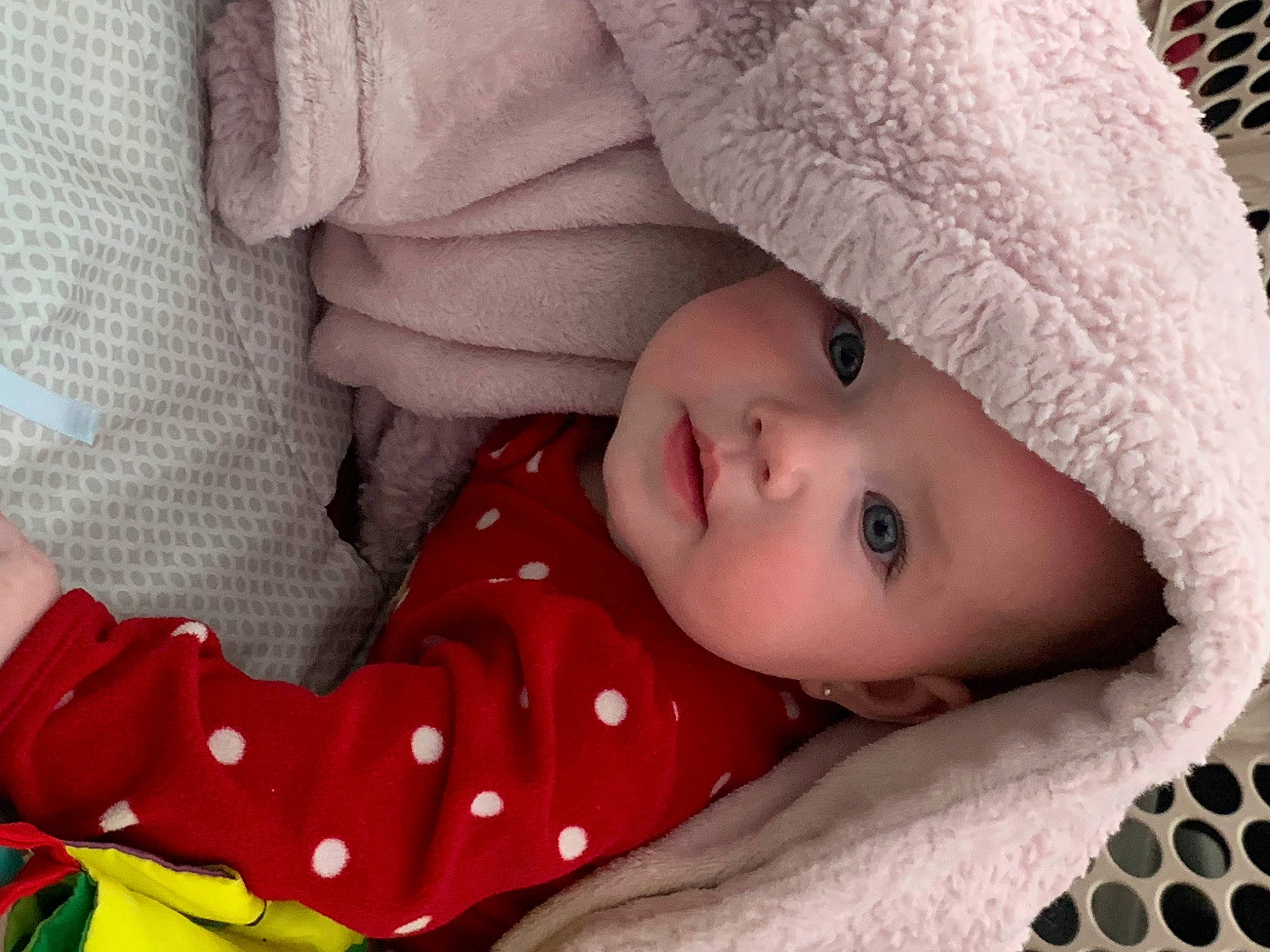 Artemis is registered to the contest to win money with this photo: baby, baby_toddler_clothing, cap, cheek, child, comfort, eye, eyelash, face, fur, headwear, linens, lip, nose, organ, pattern, person, skin, sleeve, textile