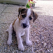 Léna a rejoint le concours — aidez-le/la à gagner de superbes lots !