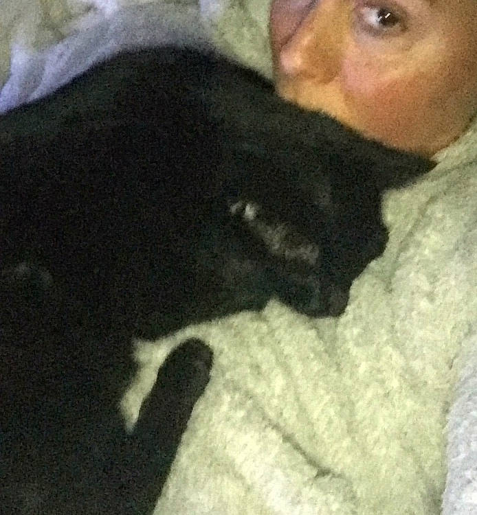 Freddy participe au concours pour gagner de l'argent avec cette photo : canidae, dog_breed, fawn, nose, selfie, sporting_group