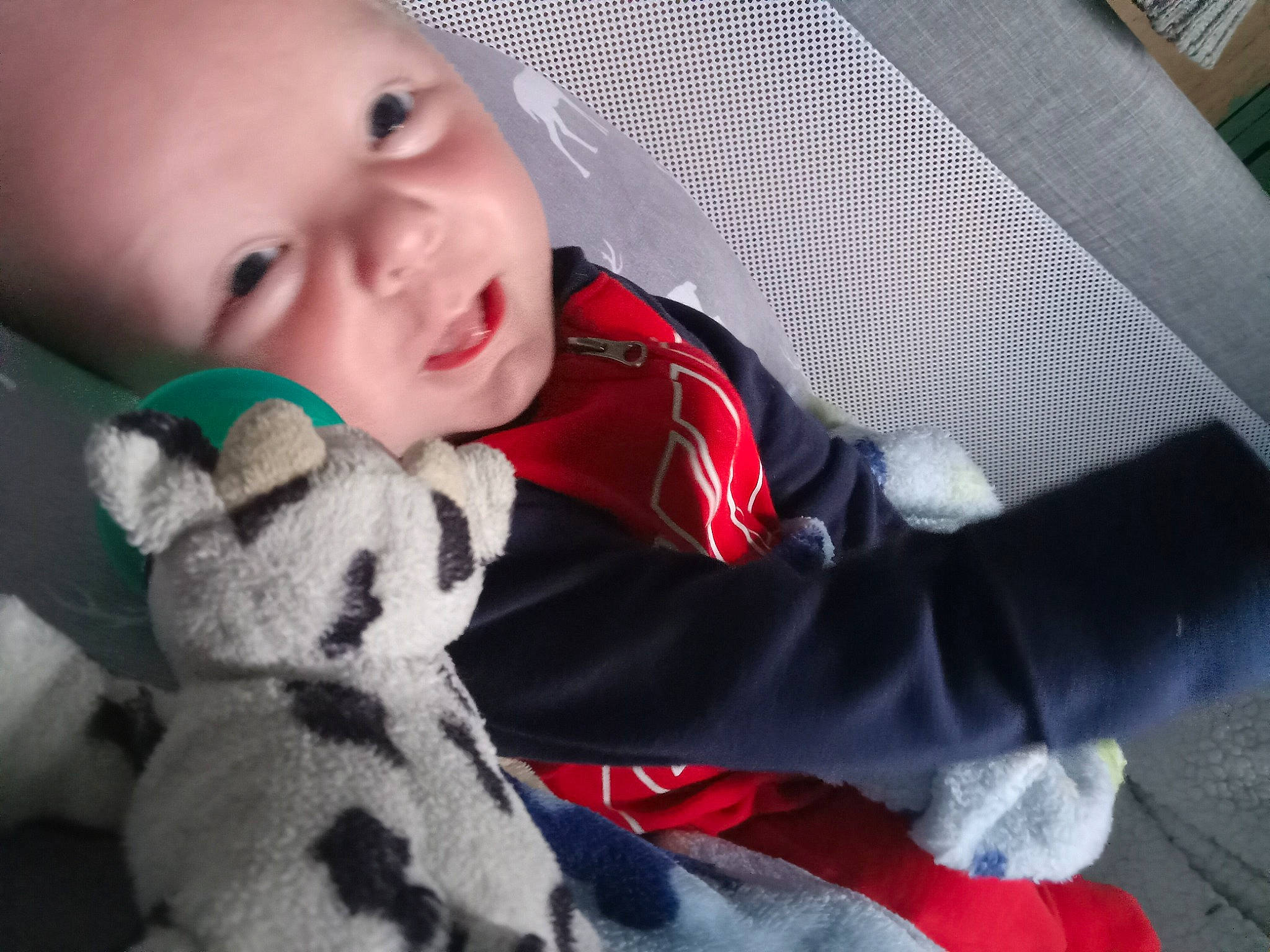 Oliver is registered to the contest to win money with this photo: baby, baby_toddler_clothing, carmine, cheek, child, comfort, fun, fur, happy, head, mammal, nose, pattern, person, plush, sitting, stuffed_toy, textile, toddler, toy