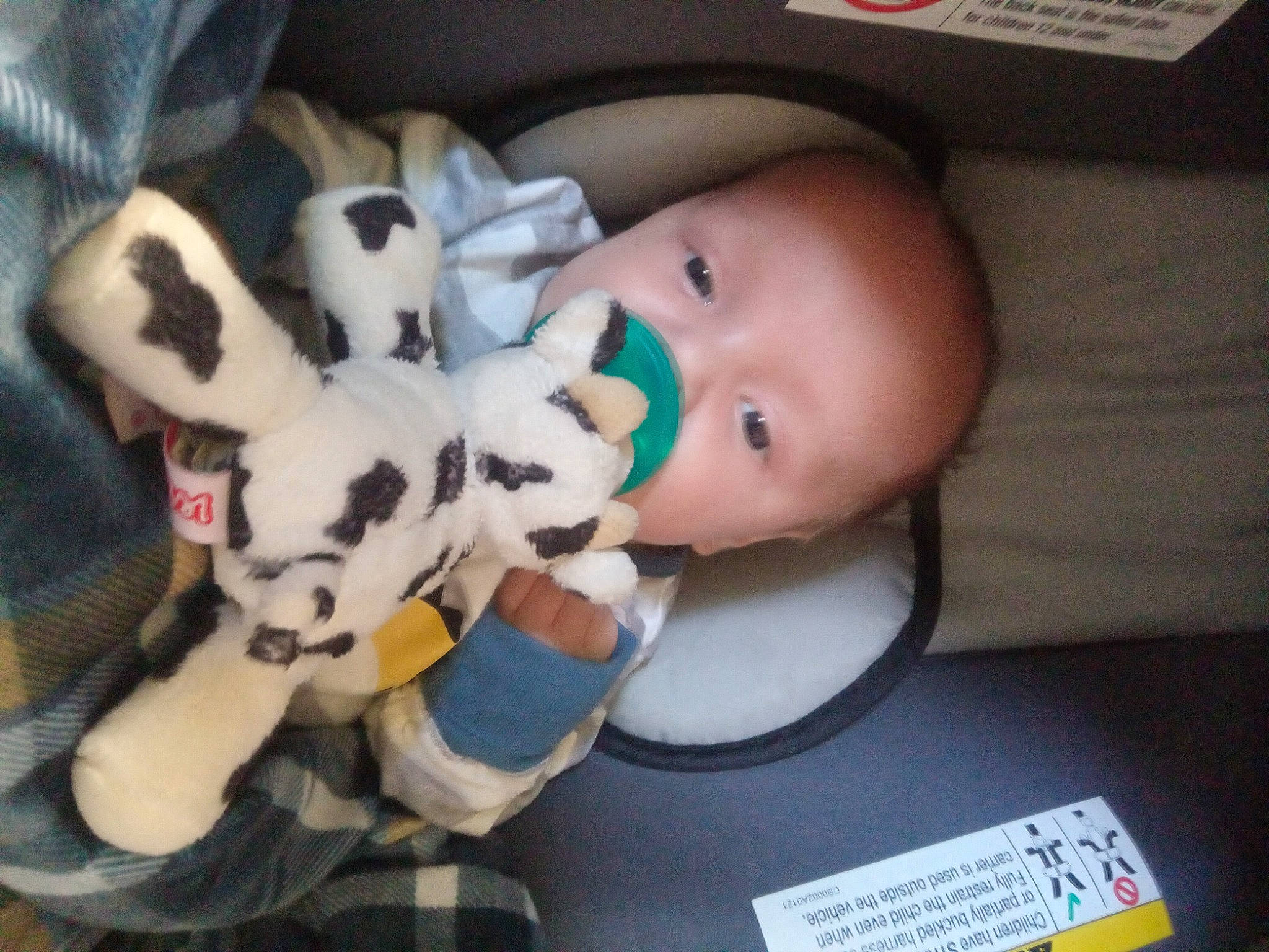Oliver is registered to the contest to win money with this photo: baby, baby_products, baby_safety, baby_toddler_clothing, baby_toys, carmine, cheek, child, comfort, companion_dog, fur, person, plush, room, stuffed_toy, toddler, toy