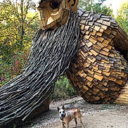 Auggie joined the competition — help win amazing prizes! dog, animal, wooden_sculpture, sculpture, outdoor, forest, trees, autumn, nature, wood, branches, shingles, beard, face, ears, leash, standing, path, garden, art_installation