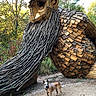 dog, animal, wooden_sculpture, sculpture, outdoor, forest, trees, autumn, nature, wood, branches, shingles, beard, face, ears, leash, standing, path, garden, art_installation