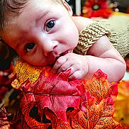 Noah is registered to the contest to win money with this photo: baby, infant, face, hand, knitted_clothing, autumn_leaves, fall_colors, closeup, portrait, child, cute, soft_skin, curious, indoors, seasonal, orange, red, yellow, texture, warm