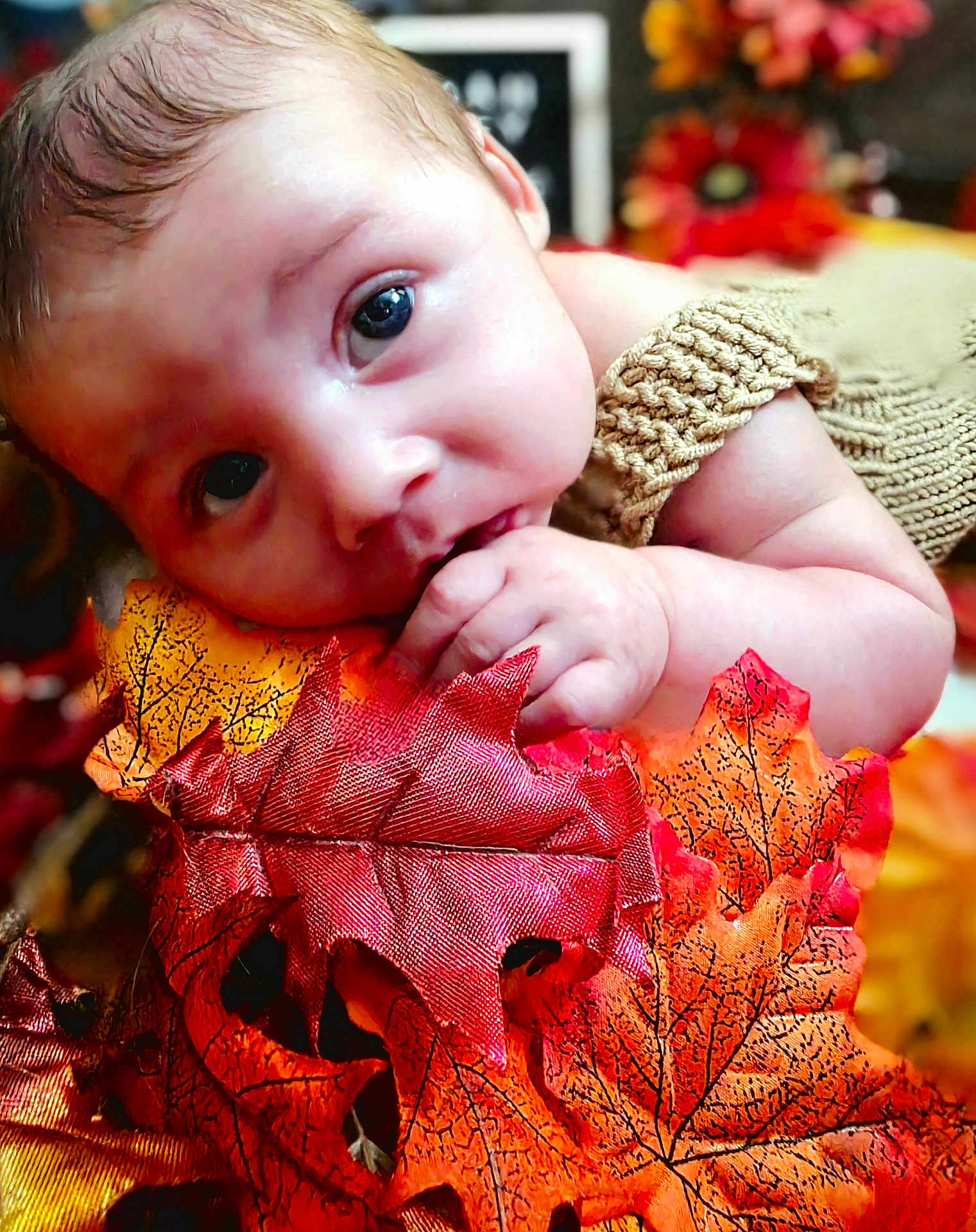 Noah is registered to the contest to win money with this photo: baby, infant, face, hand, knitted_clothing, autumn_leaves, fall_colors, closeup, portrait, child, cute, soft_skin, curious, indoors, seasonal, orange, red, yellow, texture, warm