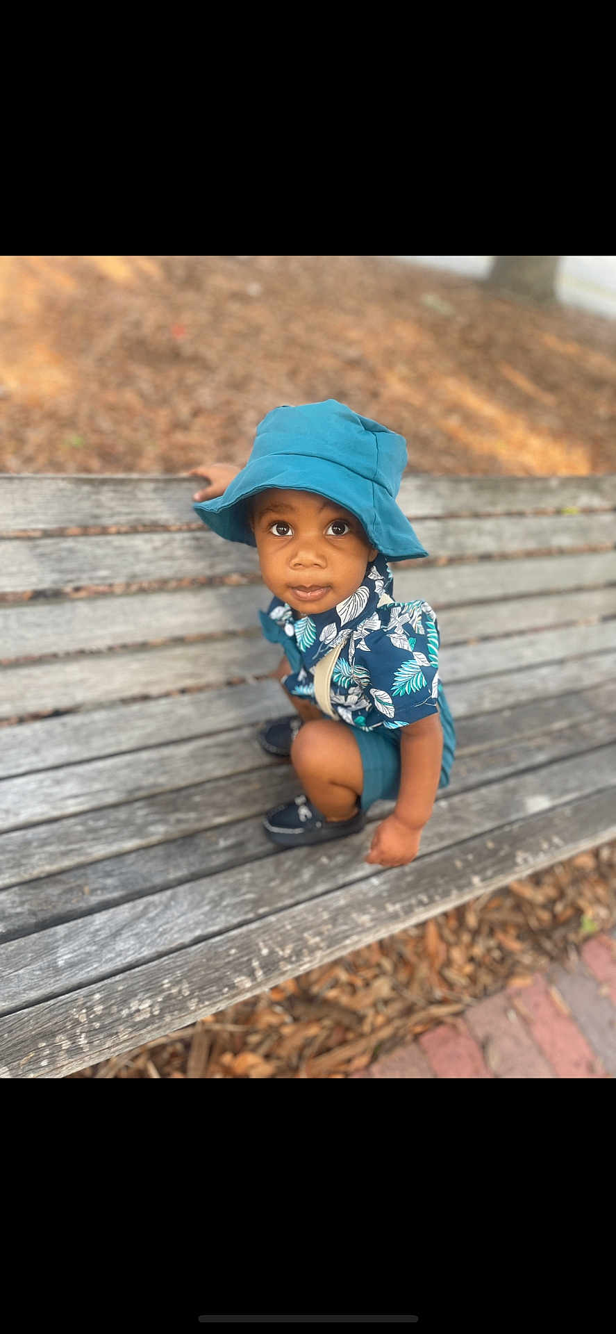 Jemontay Burke is registered to the contest to win money with this photo: toddler, child, blue_hat, bench, outdoor, curious, sitting, leaf_pattern, shorts, shoes, park, wooden_bench, nature, daylight, cute, portrait, person, casual_clothing, young_child, expression